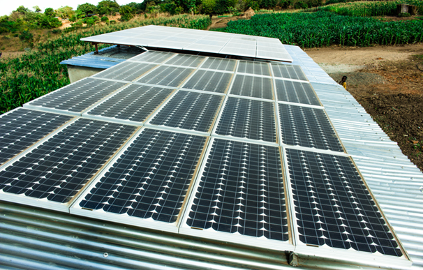 Green Livelihoods Takes Root in Dowa Catchment EPA Chivala!